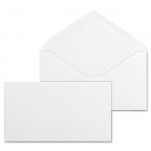 Business Source 42252 Regular Commercial Envelope