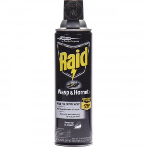 Raid 668006CT Wasp/Hornet Killer Spray