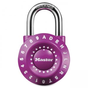 Alarms & Locks