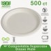 Eco-Products ECOEPP005 Renewable & Compostable Sugarcane Plates - 10", 500/CT