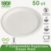 Eco-Products ECOEPP013PK Renewable & Compostable Sugarcane Plates, 9", 50/PK