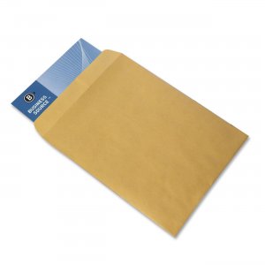 Business Source 42100 Plain Catalog Envelope