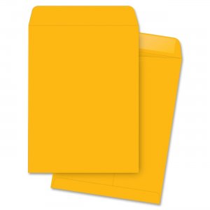 Business Source 42101 Plain Catalog Envelope