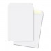 Business Source 42103 Plain Catalog Envelope