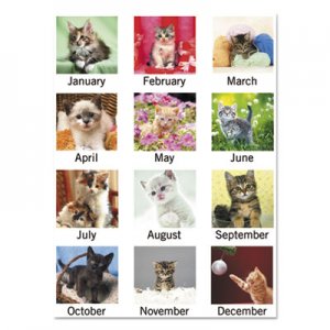 At-A-Glance AAGDMW16728 Puppies Monthly Wall Calendar, 15 1/2 x 22 3/4, 2016