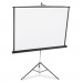 Quartet 560S Portable Tripod Projection Screen, 60 x 60, White Matte, Black Steel Case