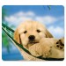 Fellowes 5913901 Recycled Mouse Pad, Nonskid Base, 7 1/2 x 9, Puppy in Hammock