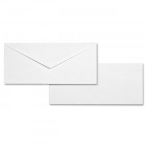 Business Source 04467 Business Envelope