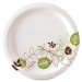 Dixie SXP10PATHCT Dixie Pathway Heavyweight Paper Plates