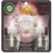 Airwick 91112CT Scented Oil Warmer Refill