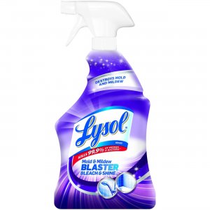 LYSOL 78915 Mold and Mildew Remover with Bleach