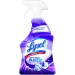 LYSOL 78915 Mold and Mildew Remover with Bleach