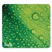 Allsop ASP31624 Naturesmart Mouse Pad, Leaf Raindrop, 8 1/2 x 8 x 1/10