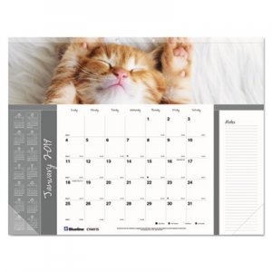 Brownline REDC194115 Pets Collection Monthly Desk Pad, 22 x 17, Furry Kittens, 2019
