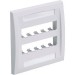 Panduit CFPE10WH-2GY Executive Faceplate