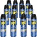 Raid 300816CT Flying Insect Spray