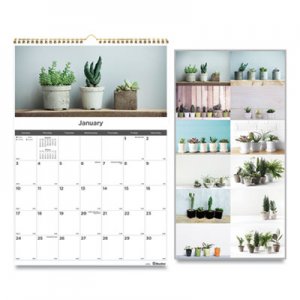 Blueline REDC173121 12-Month Wall Calendar, 12 x 17, Succulent Plants, 2021