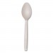 Eco-Products ECOEPCE6SPWHT Cutlery for Cutlerease Dispensing System, Spoon, 6", White, 960/Carton