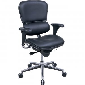 Raynor LE10ERGLO ergohuman Mid Back Management Chair