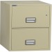 Phoenix LTR2W25P World Class Vertical File - 2-Drawer