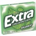 Mars 22037 Spearmint Flavored Chewing Gum