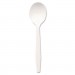 Dixie DXEPSM21 Plastic Cutlery, Mediumweight Soup Spoons, White, 1000/Carton