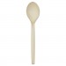 Eco-Products ECOEPS003 Plant Starch Spoon - 7", 50/PK, 20 PK/CT