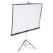 Quartet 570S Portable Tripod Projection Screen, 70 x 70, White Matte, Black Steel Case